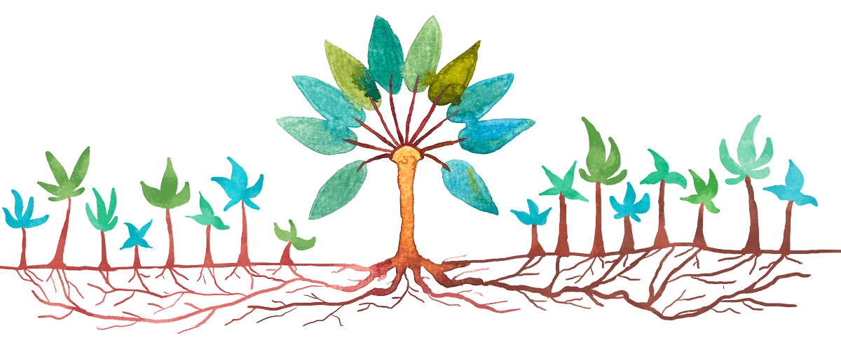 Watercolor by Molly McLeod: a central tree with deep roots and saplings flanking it.